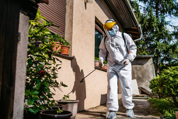 Best Bed Bug Extermination  in Mineola, NY