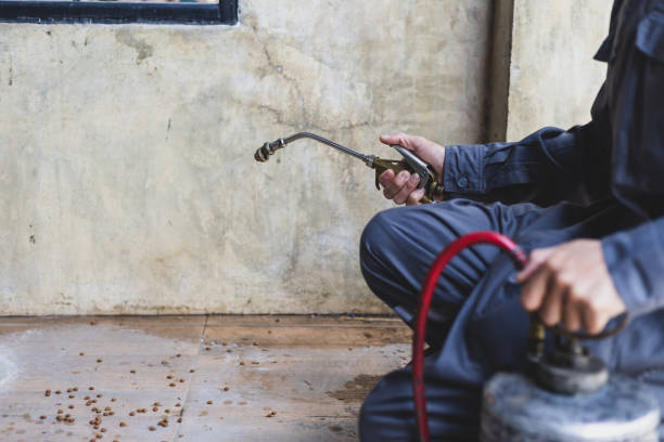 Pest Control Cost in Mineola, NY